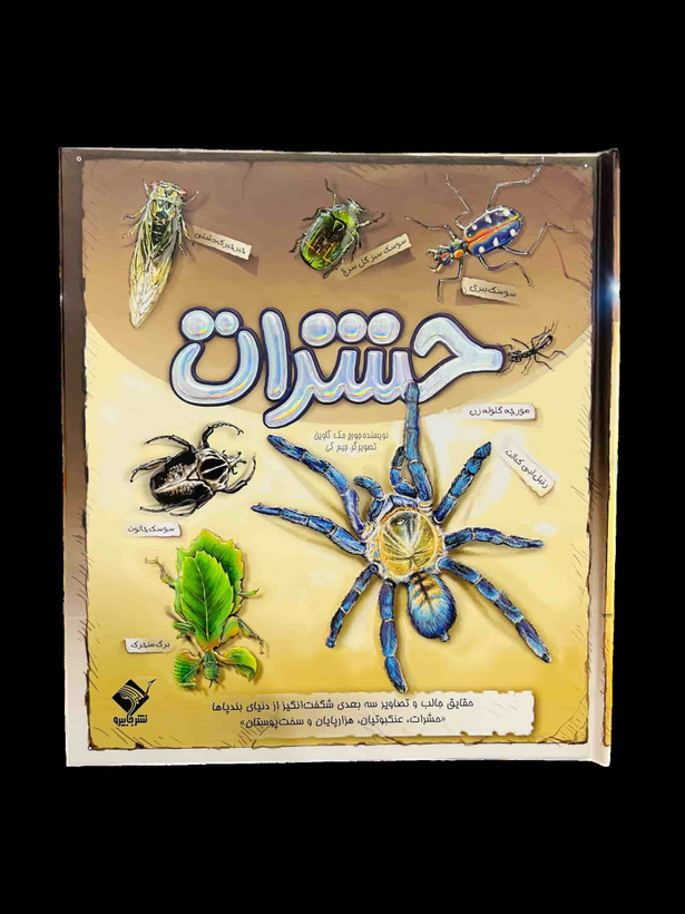 کتاب سه بعدی حشرات، عنکبوتیان و بندپایان با تصاویر متحرک و پاپآپ، نشر فایرو با حقایق جالب از دنیای موجودات ریز در فروشگاه ال آی تویز