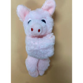 کتاب انگلیسی آموزش اشکال و رنگها مدل Shapes and Colours FARMYARD